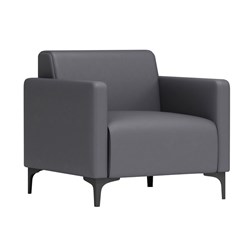 Shunde Sofa - Black Powder Coating Steel Leg 1 Seater - Theodist