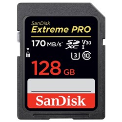 Sandisk 128GB Extreme PRO UHS-I SDXC 170MB/s Memory Card SDSDXXY-128G-GN4IN - Theodist