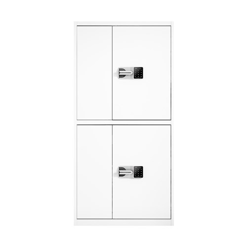 BIZS18A2 Cabinet Filing Safety Storage 2 Door - Theodist