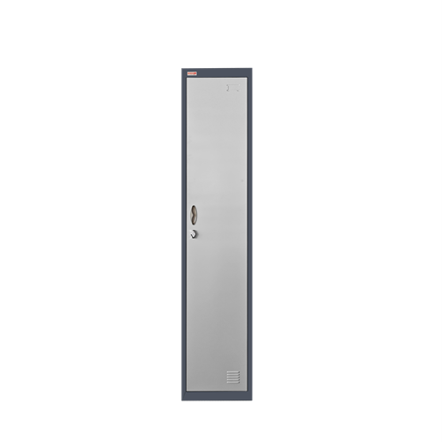 BZLKS1 Coloured Steel Locker Single Door 1850x380x450mm_GRY - Theodist