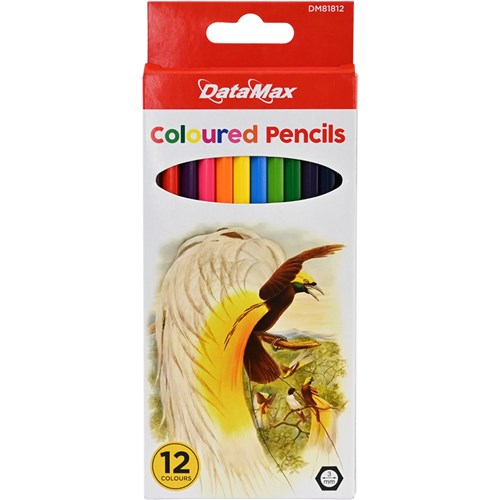 DataMax DM81812 Coloured Pencils 12 Pack_1 - Theodist