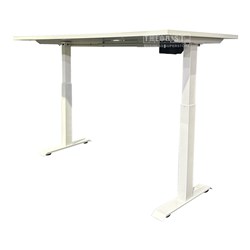Electronic Adjustable Desk with Cable, Power Plug Slot 1600x800x750mm - Theodist