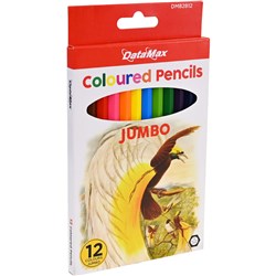 DataMax DM82812 Jumbo Colored Pencils 12 Pack_1 - Theodist