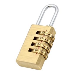 Globe Padlock 4 Digit Combination Brass - Theodist