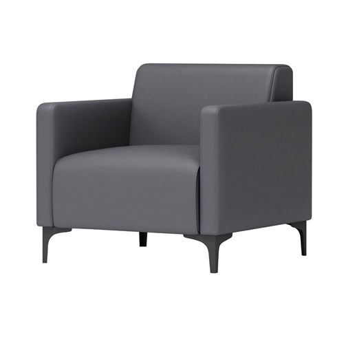 Shunde Sofa - Black Powder Coating Steel Leg 1 Seater_1 - Theodist